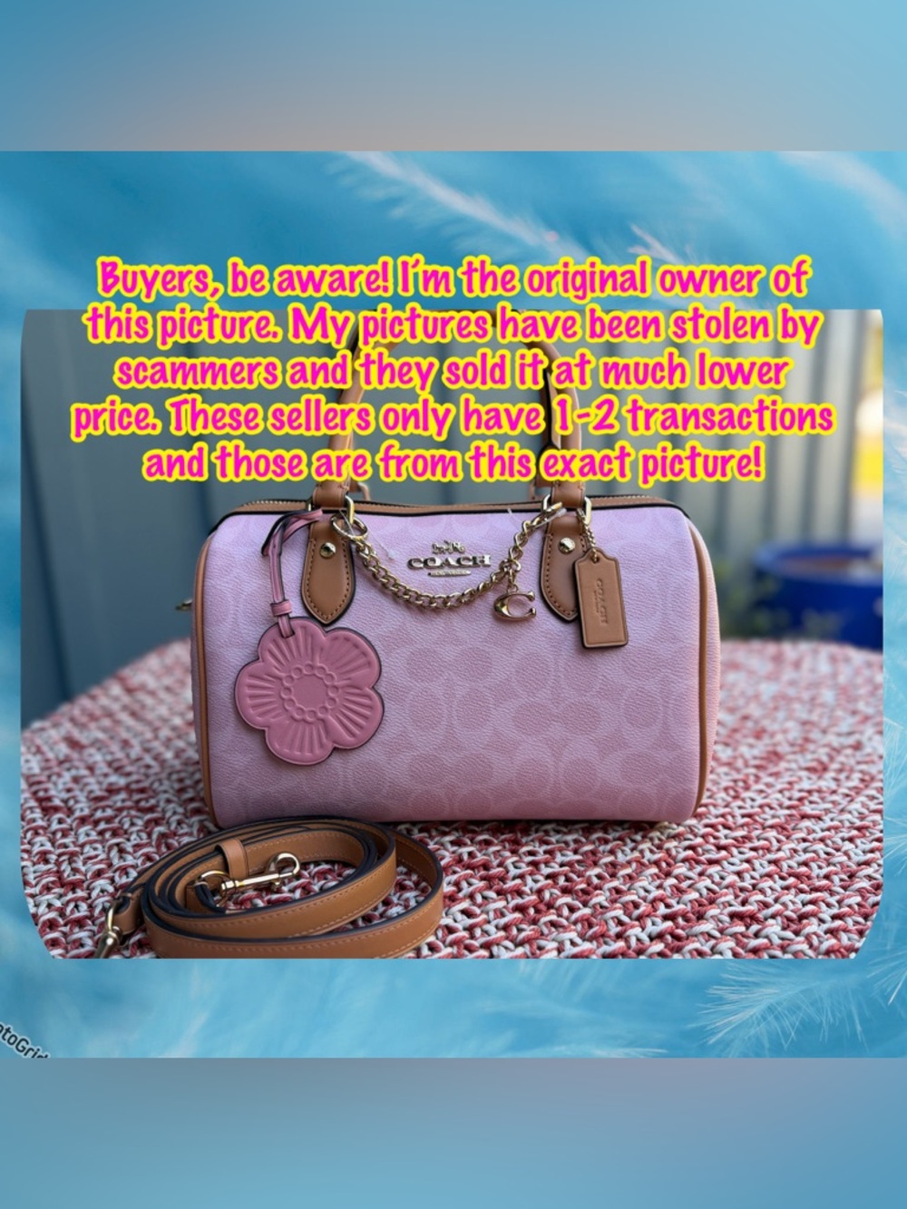 Coach Rowan Satchel Bag In Signature Canvas With Charms